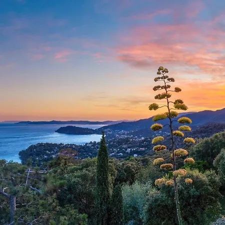 Отель Vistazur 4*