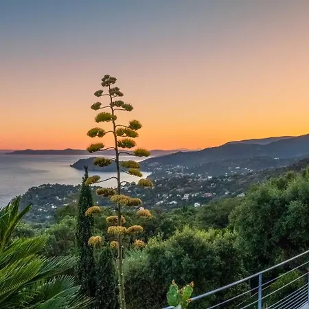 Vistazur