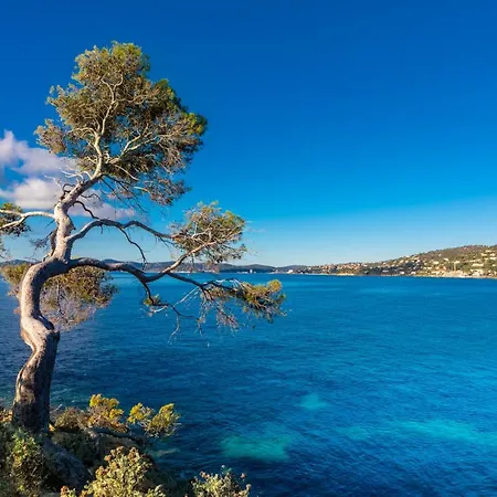 Vistazur