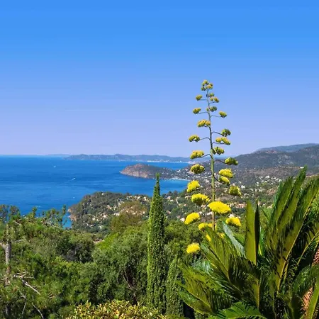 Hotel Vistazur Le Rayol-Canadel-sur-Mer