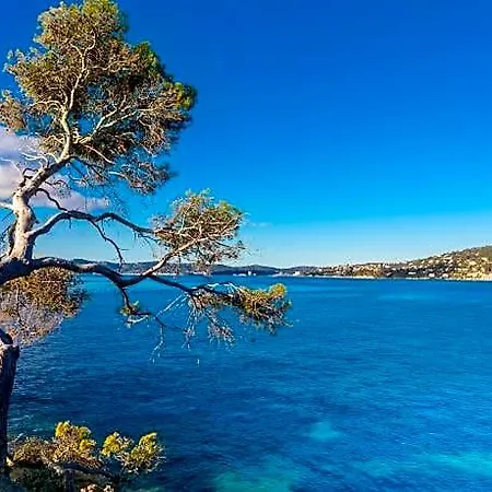 Vistazur 4* Райоль-Канадель-сюр-Мер