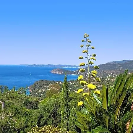 Vistazur