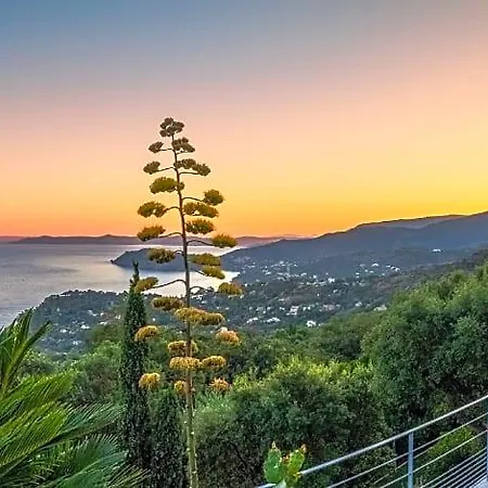 Отель Vistazur